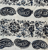 Kalamkari Block Printed Chennuri Silk Fabric - HBPS-B045