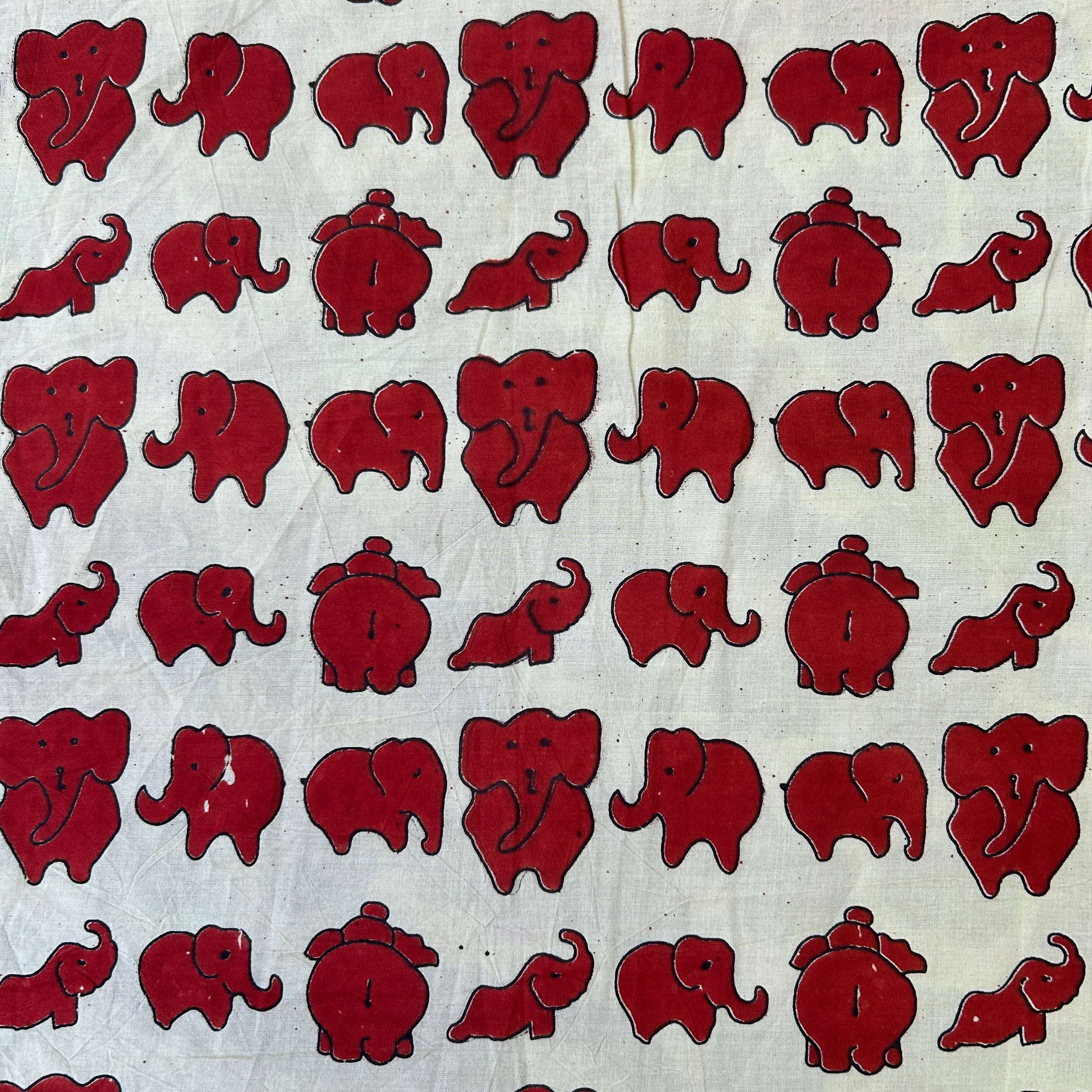 Kalamkari Screen Printed Cotton Fabric - SPF-S005